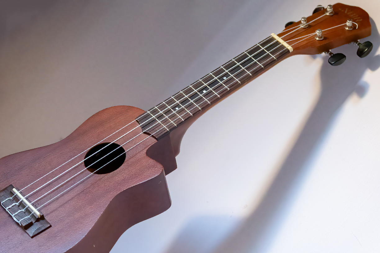 Corso di ukulele